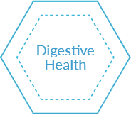 Digestive Health