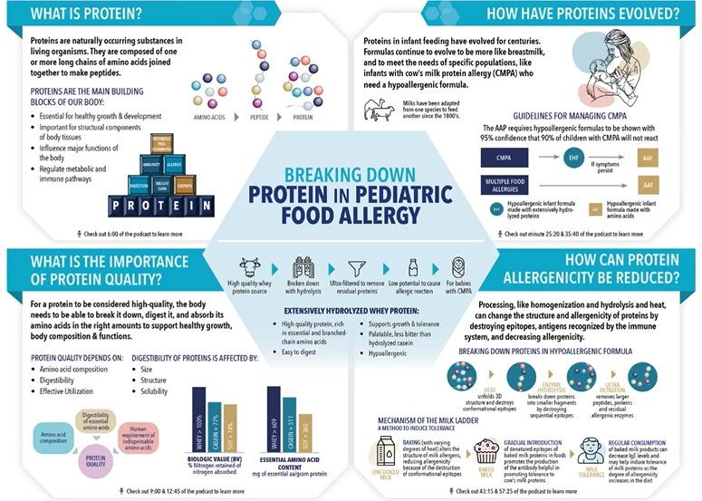 Podcast Interview with Experts in Pediatric Food Allergy:  Breaking Down Protein