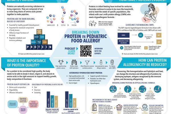 Infographic: Breaking Down Protein in Pediatric Food Allergy